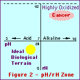 Ideal Biological Terrain